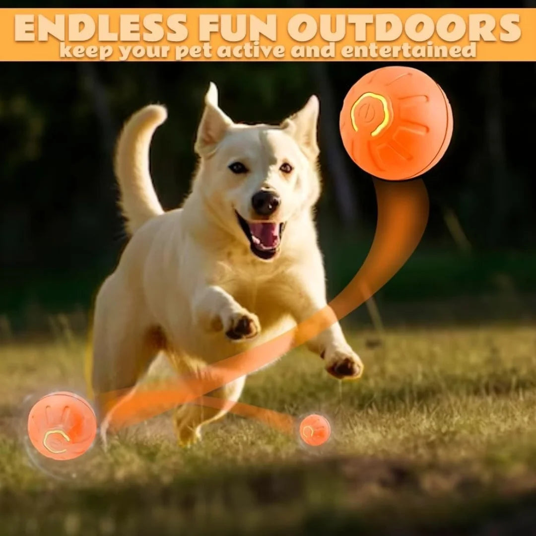 Pelota eléctrica de juguete para mascotas Gravity, pelota inteligente que rebota para perros y gatos.