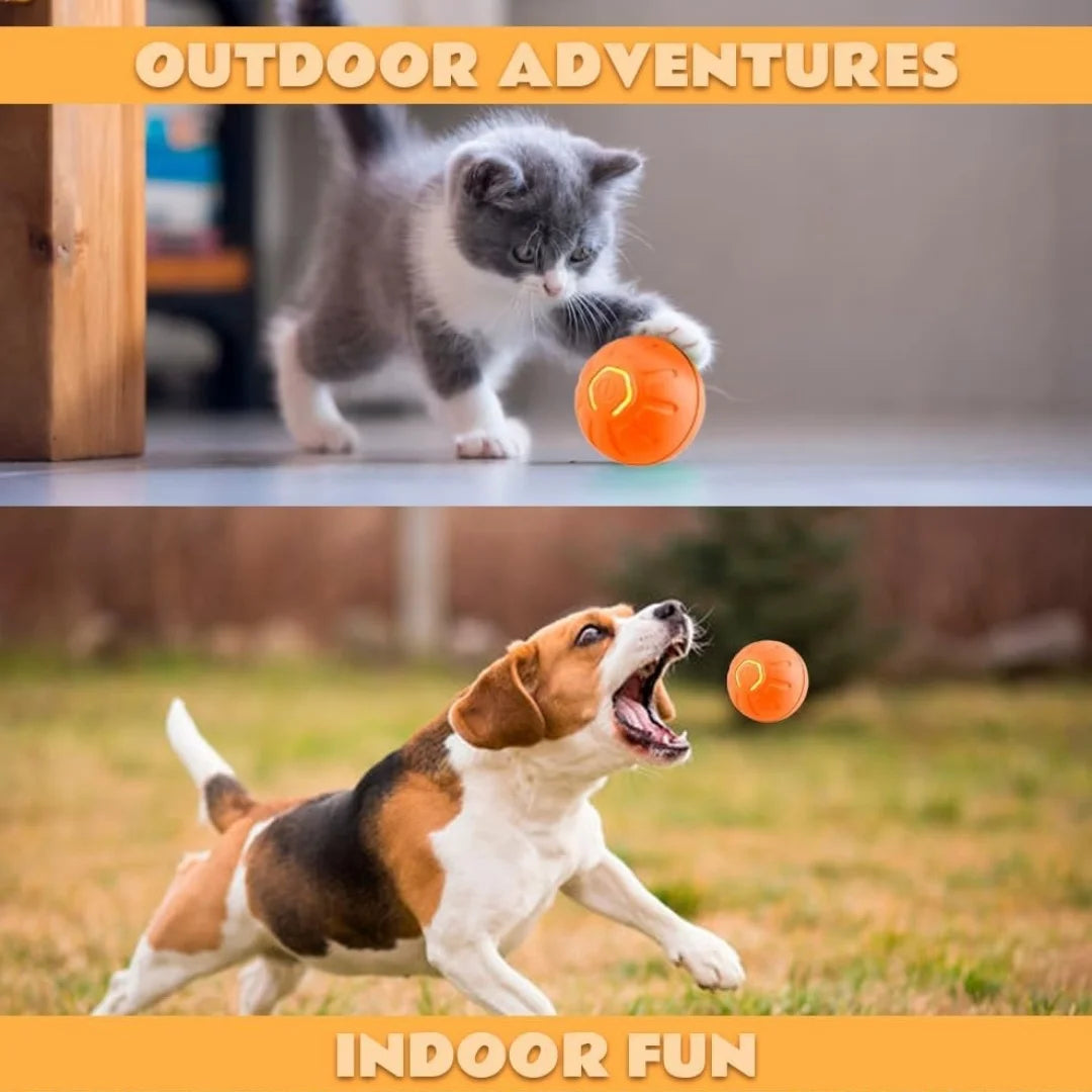 Pelota eléctrica de juguete para mascotas Gravity, pelota inteligente que rebota para perros y gatos.